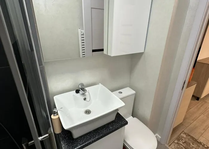 Christmas Market Apartment Craiova